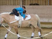 voltitag 2009 _CD1 124